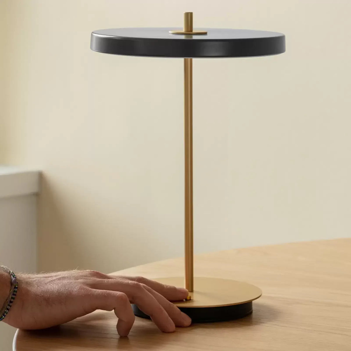 Fiorella LED Portable Lamp